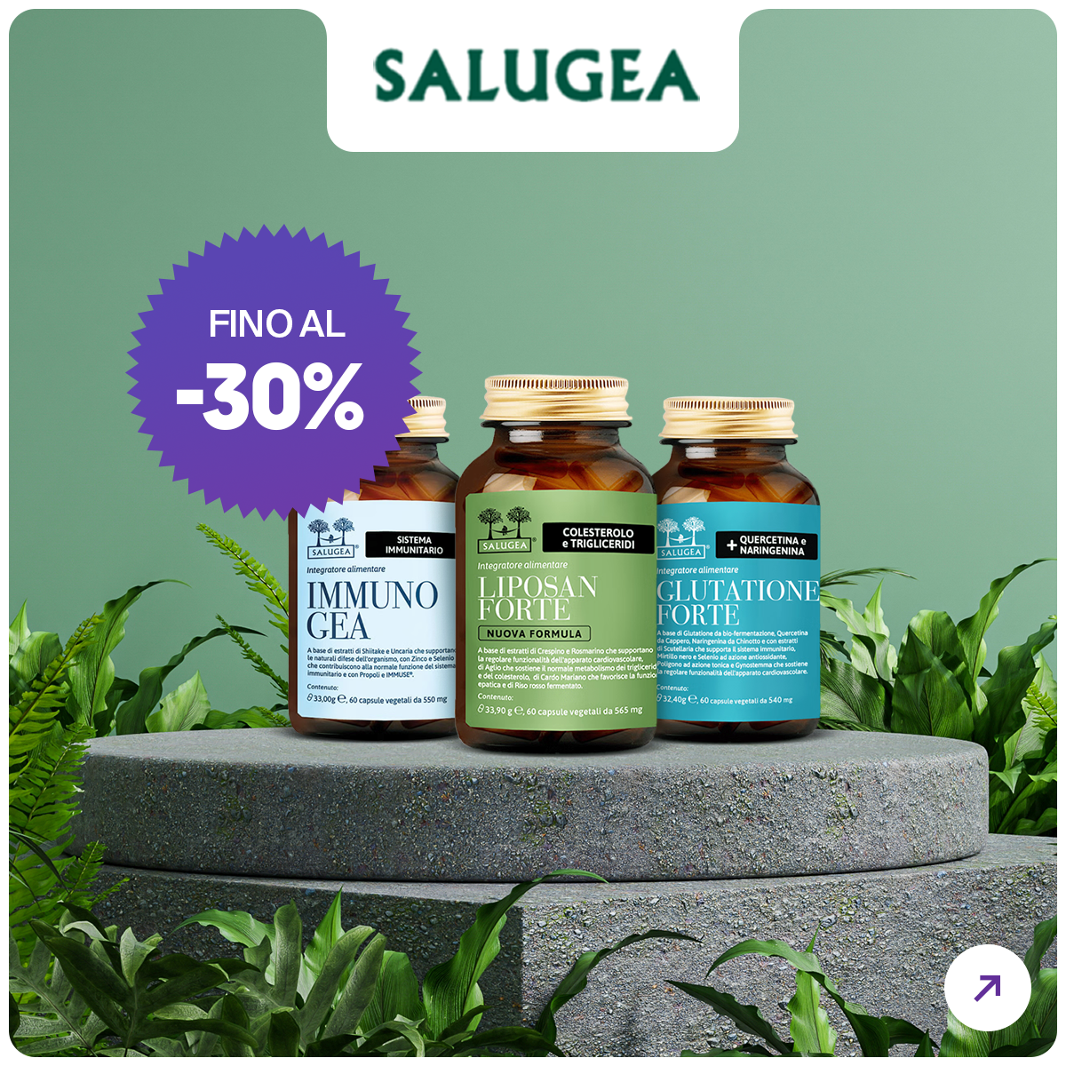 SALDI Salugea