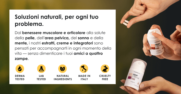 Eusphera - Banner 2 Mobile